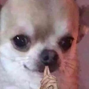 Meet your Posher, Heather m.